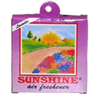 Sunshine Air Freshener Block